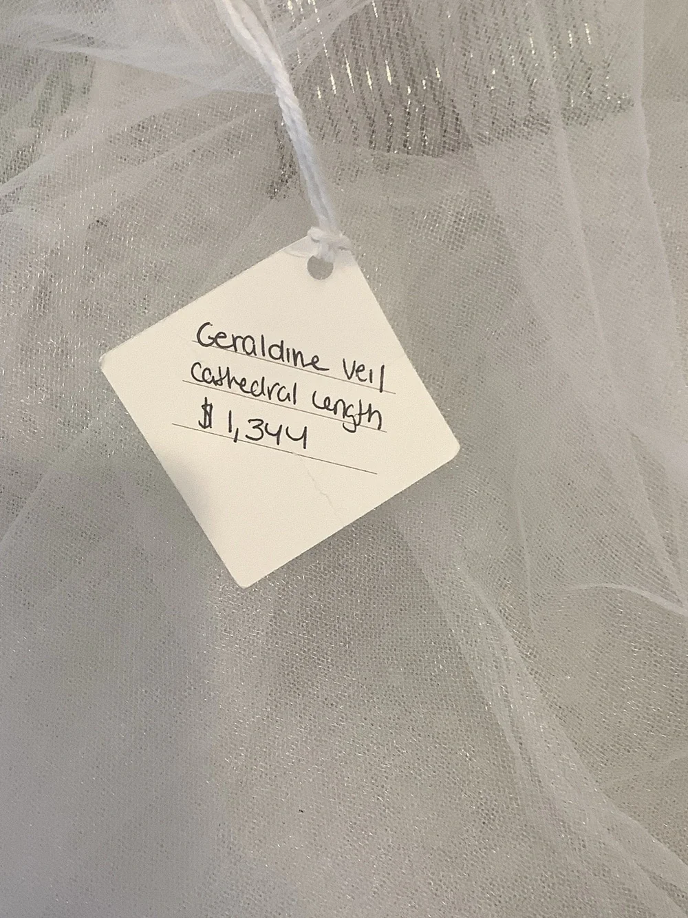 Cathedral real Feather-Trim Veil